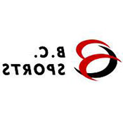 example-image